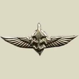 DUVDEVAN - Army Undercover Special Unit Insignia